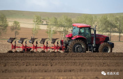 希森天成 马铃薯机械化种植关键技术及装备的突破与引领